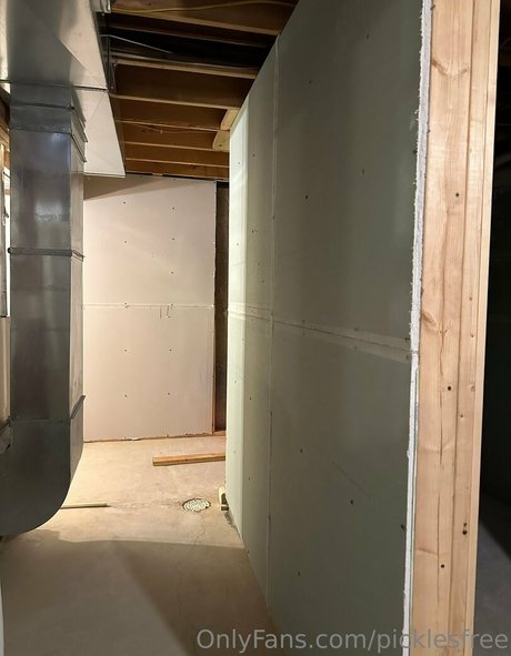 picklesfree star perfect picture