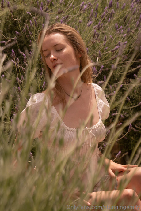 stunningemily pornstar art gallery