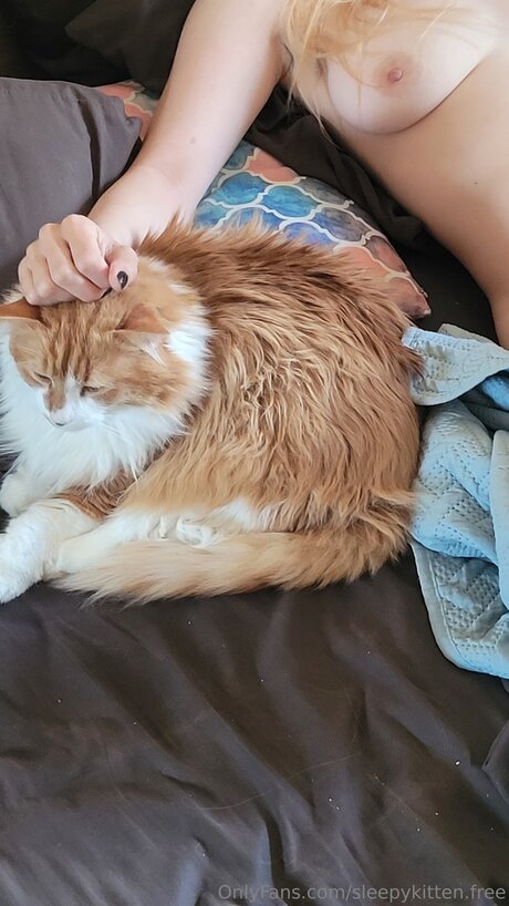 Sleepykitten Free model perfect images