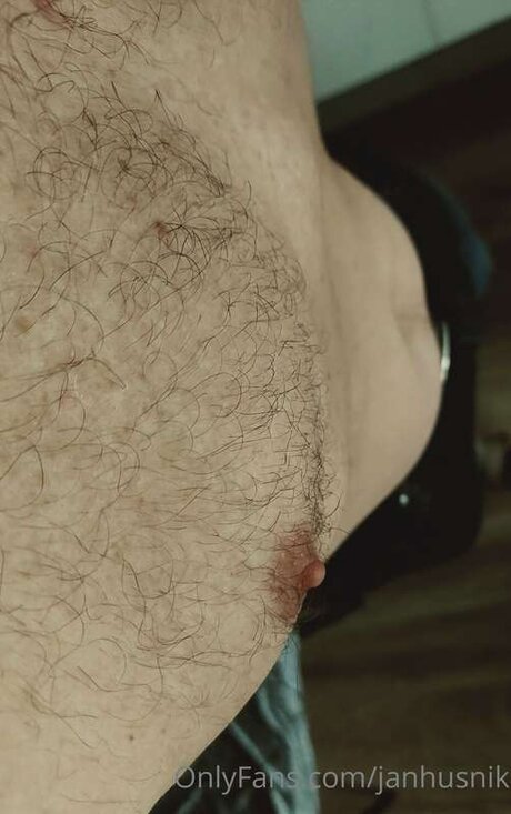 Janhusnik model art images