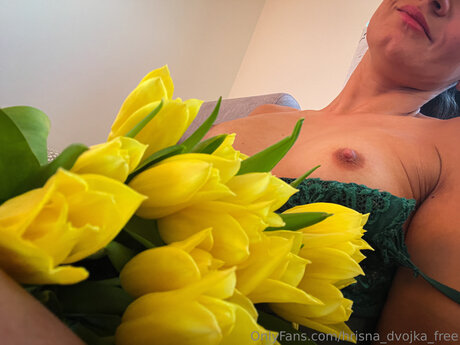 Hrisna Dvojka Free pretty star pics