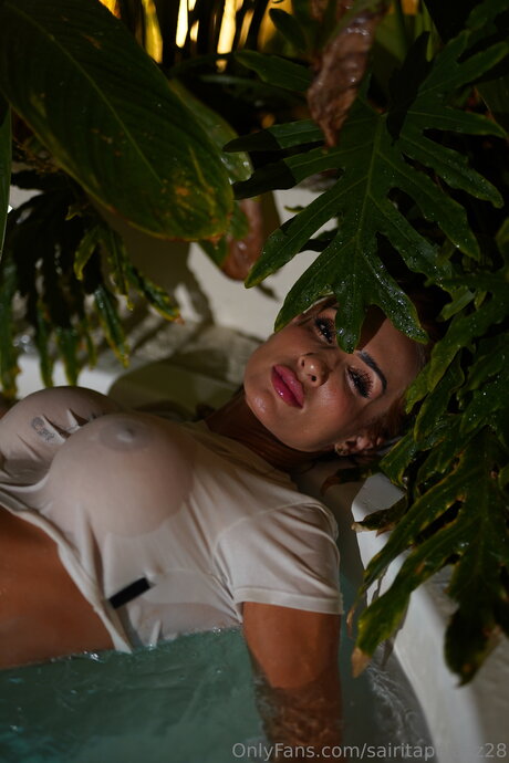 Sairitapelaez28 best model archive