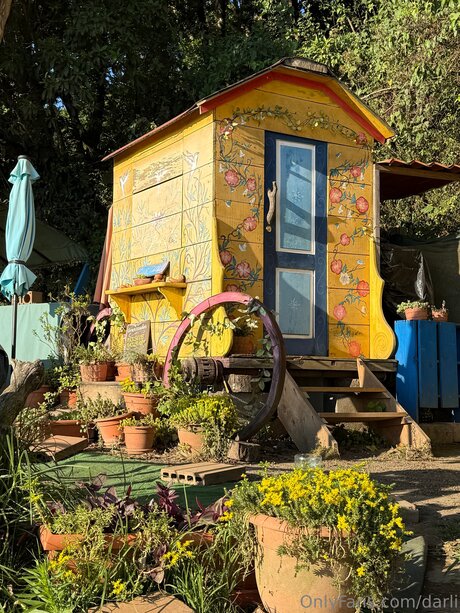 Darli best model archive