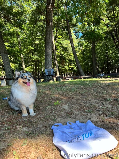 Darli hot pornstar img