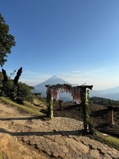 Darli art actress photos