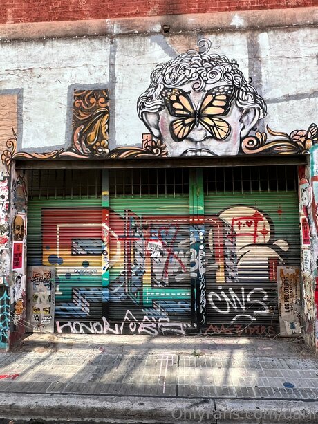 Darli beautiful star archive