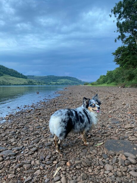 Darli xxx model photo