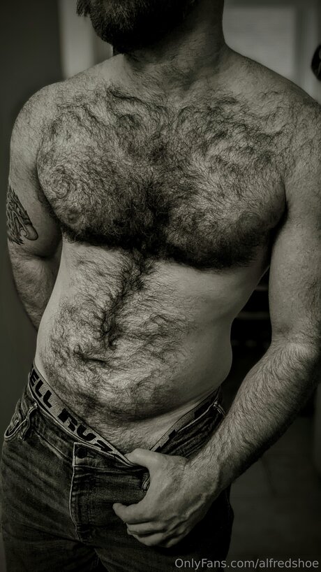 Alfredshoe pornstar erotic gallery