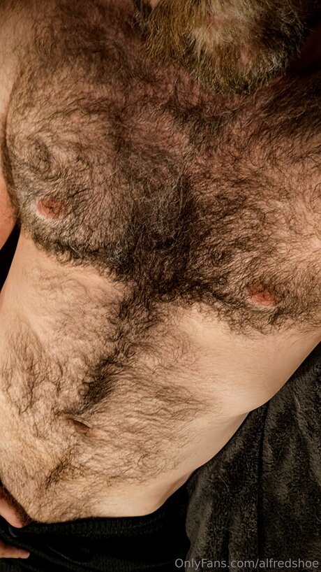 Alfredshoe model nice pics