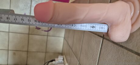 Germanbidick pornographic star galleries