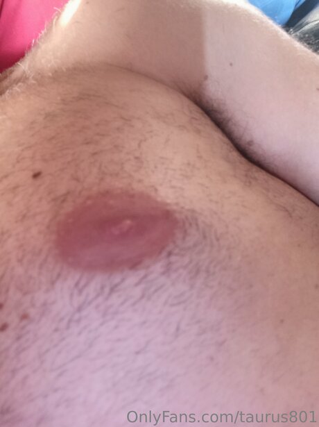 Taurus801 model pornographic pic