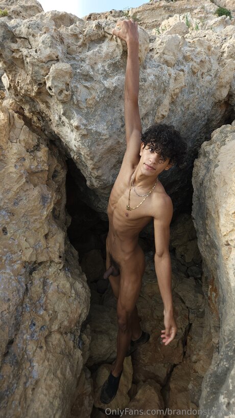 Brandonstonexl art model pictures