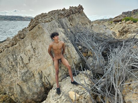 Brandonstonexl star best picture