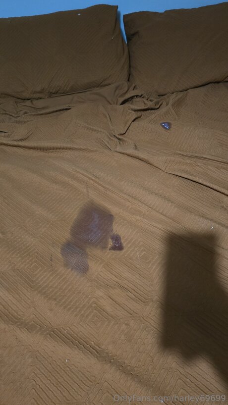 Harley69699 star top galleries