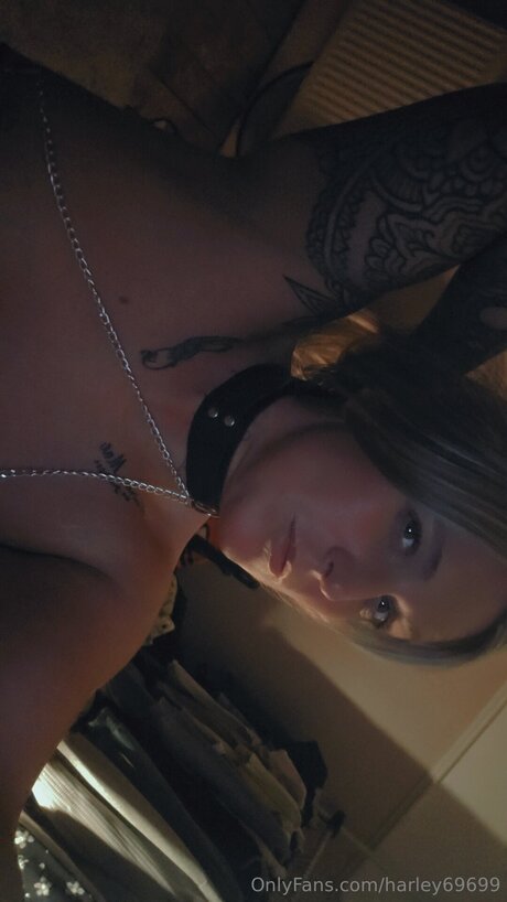 Harley69699 pornstar nice images