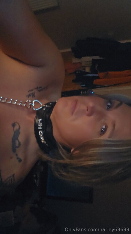 Harley69699 pornstar erotic gallery