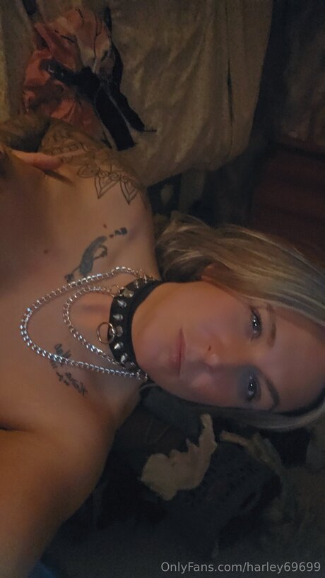 Harley69699 art model pictures