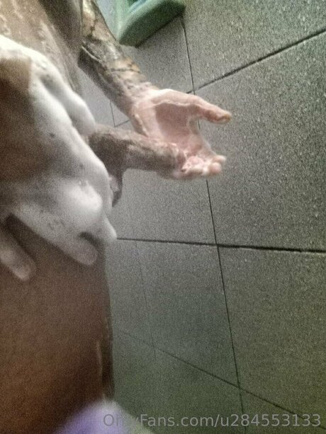 Boxerhotdiez adult actress galleries