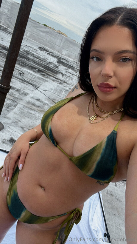 Juicydotcom pornstar nude image