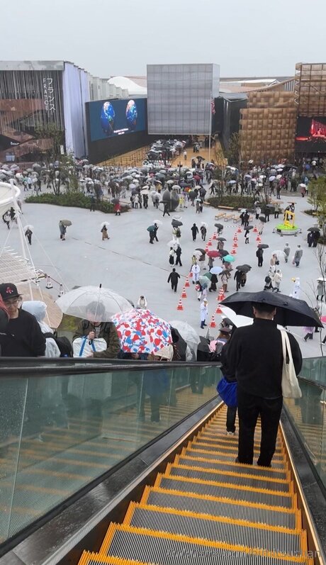 Himitsuchan star top pictures