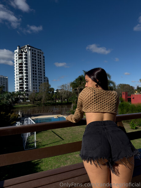 Candenegrioficial star free img