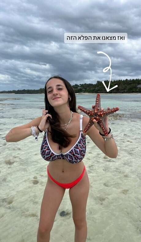 Pelegsaar sexy star archive