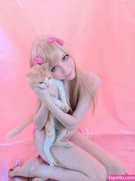 Suminoze model picture