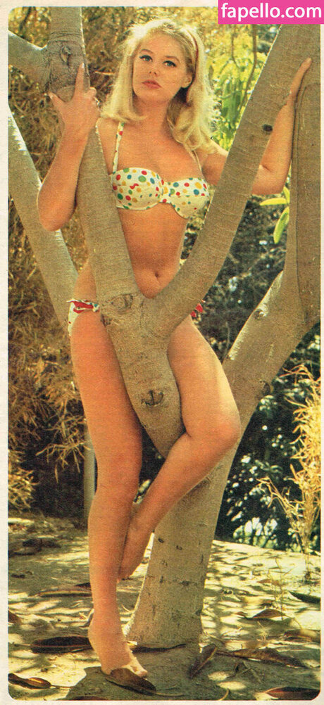 Vintage English Pinups top model pic