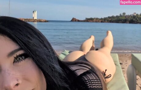 Fishtank best model picture