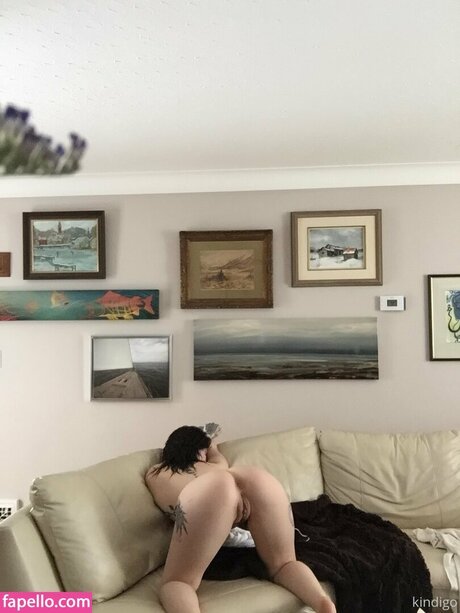 Kindigo star galleries