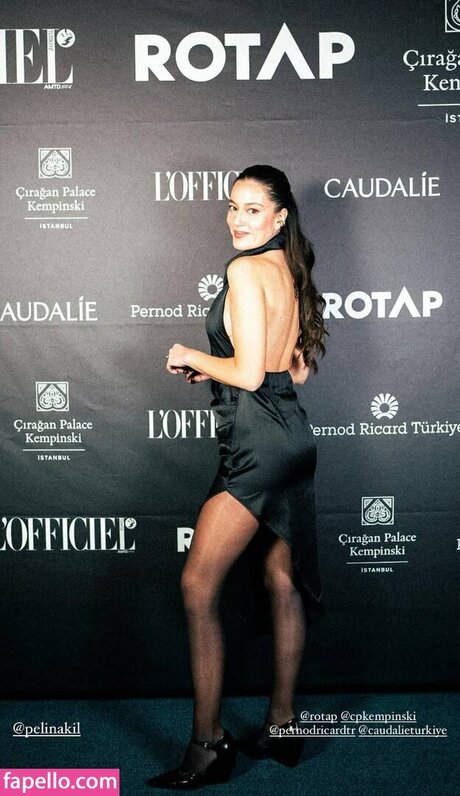 Pelin Akil art actress image