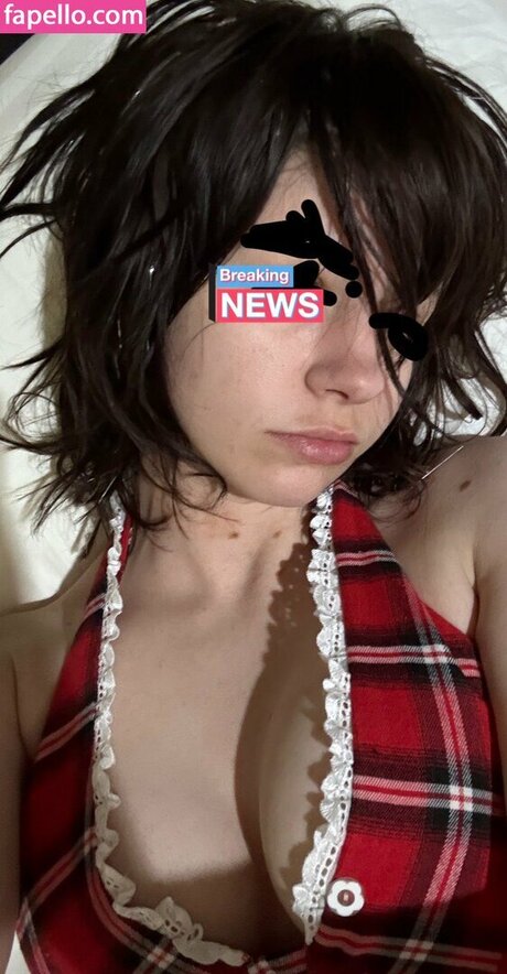 pvnks model hd archive