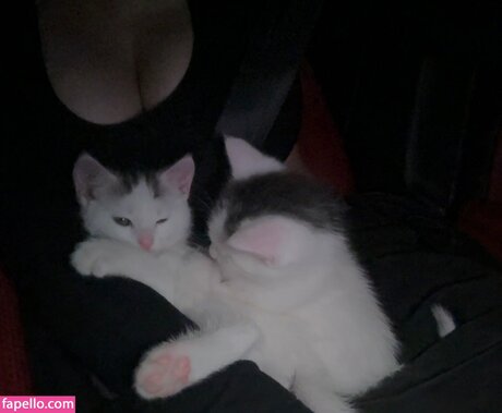 avgella model erotic archive