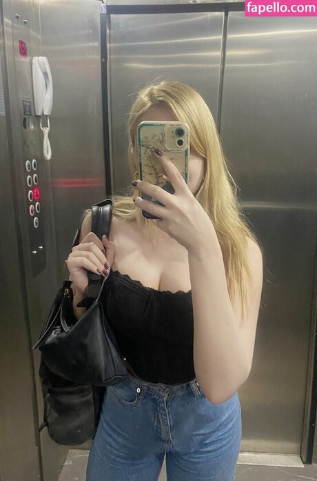 biranset model art pic