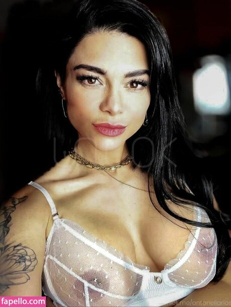 Antonella R os star free galleries