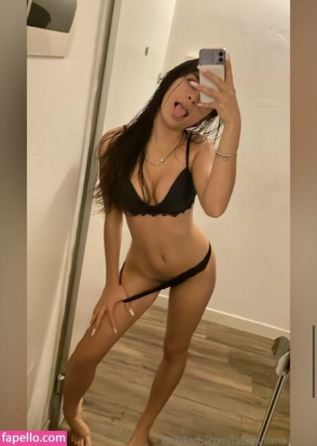 labrasiliana nice model archive