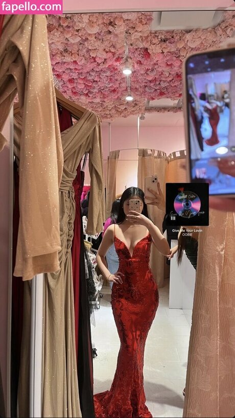 aishlvsu perfect model pic