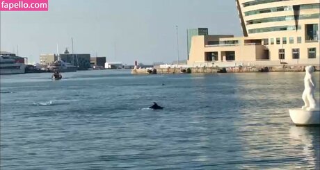 gioscotti best actress pictures