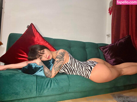 hitechbarbie star pornographic pics