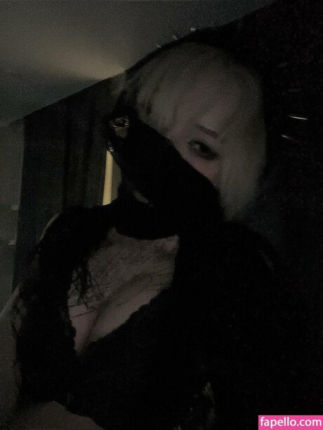 Paradoxy free model image