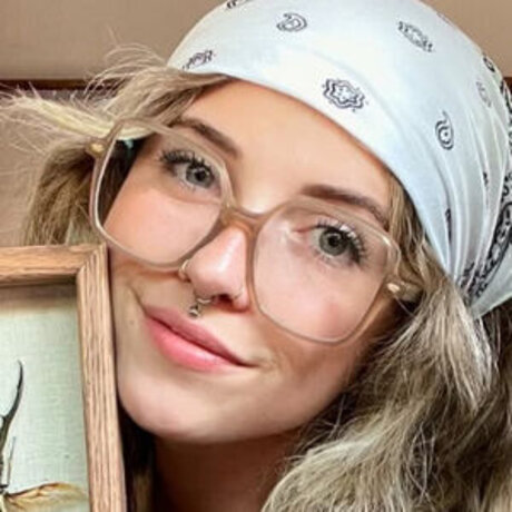 Mushbugs best pornstar galleries