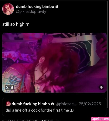 schizobimb0 erotic pornstar archive