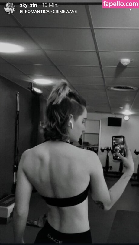 sky stn_ high quality star image