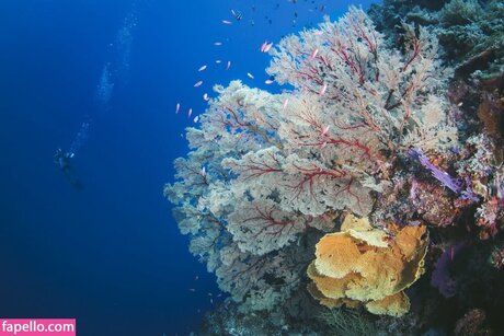 Jessica Segura top actress photos