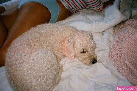 Blu Hunt pornstar nudes photo