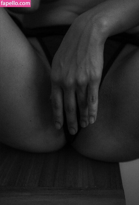 _cassaraa star archive