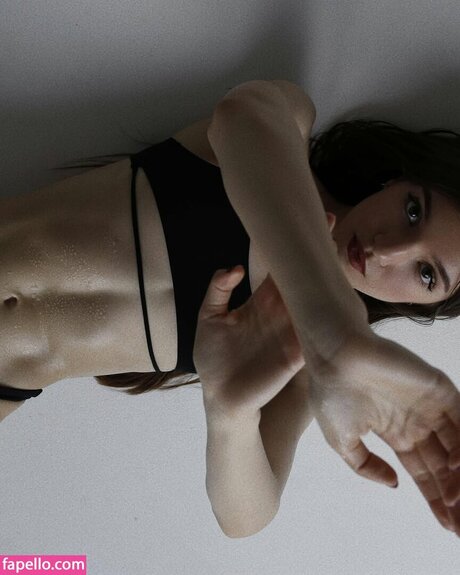 akroshecka star high quality photo