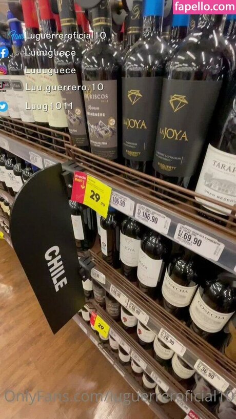 luguerreroficial10 nice model image