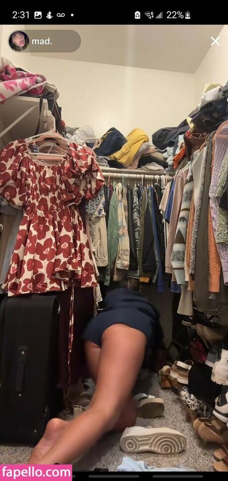 madisons the shit star beautiful archive