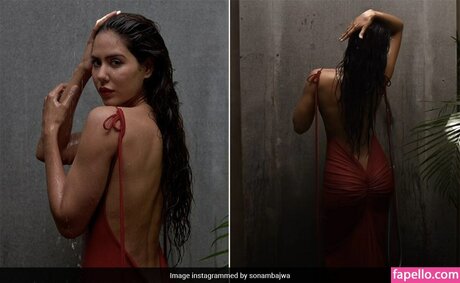 Sonam Bajwa model beautiful pictures